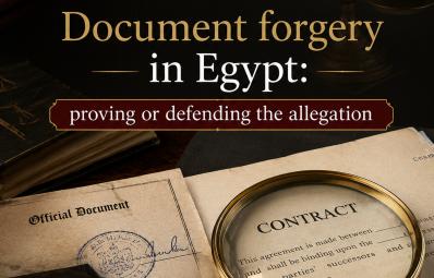 开罗刑事律师：document forgery Egypt 实务指南