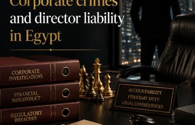 开罗刑事律师：corporate crimes Egypt 实务指南